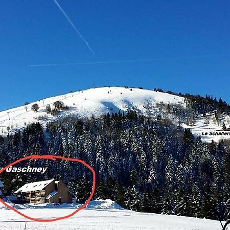شقة Muhlbach-sur-Munster  في Le Montagnard Au Pied Des Pistes, Station Du Gaschney, Altitude 1000 M المظهر الخارجي الصورة