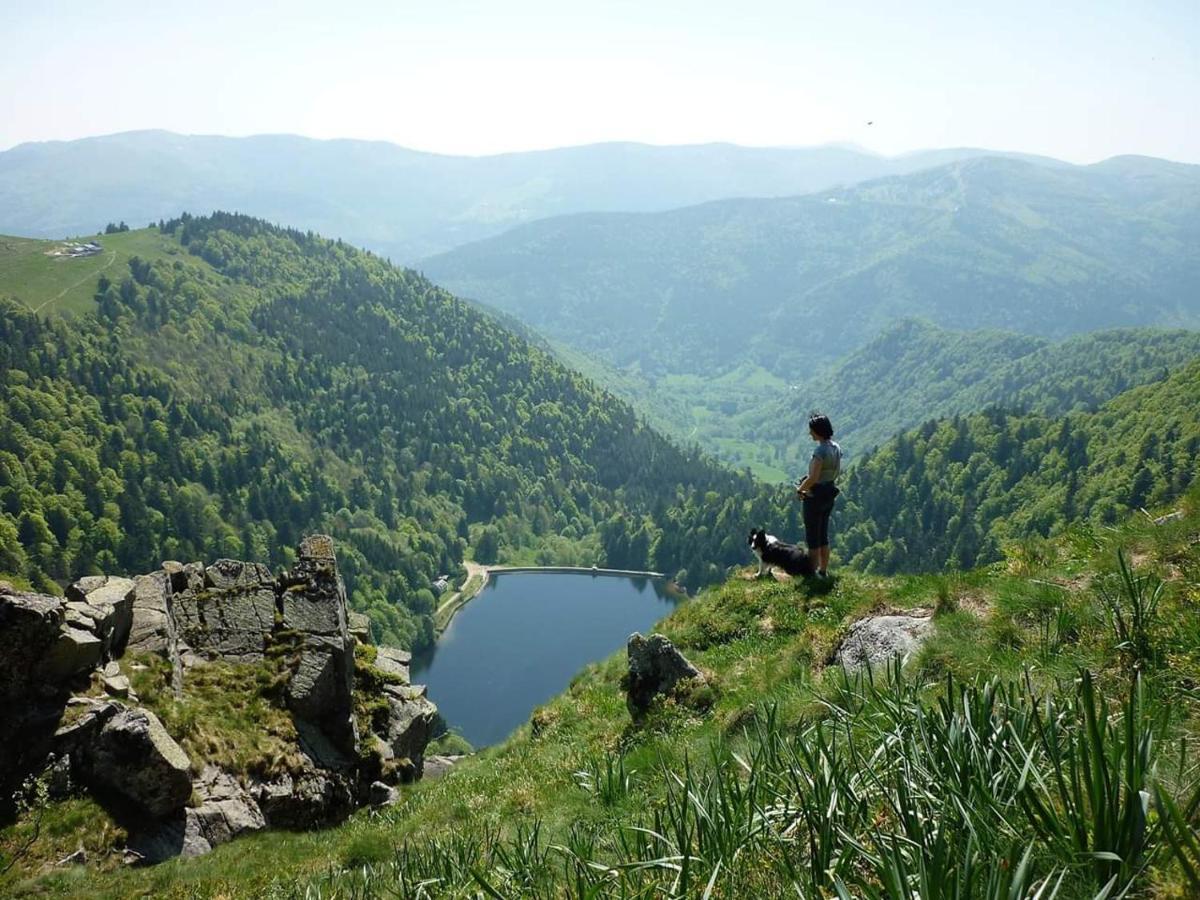 شقة Muhlbach-sur-Munster  في Le Montagnard Au Pied Des Pistes, Station Du Gaschney, Altitude 1000 M المظهر الخارجي الصورة