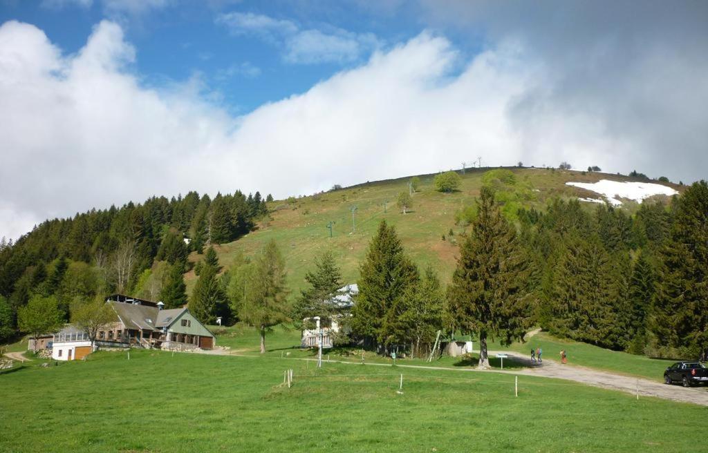 شقة Muhlbach-sur-Munster  في Le Montagnard Au Pied Des Pistes, Station Du Gaschney, Altitude 1000 M المظهر الخارجي الصورة