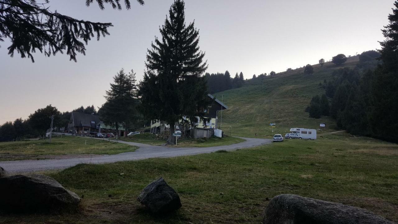 شقة Muhlbach-sur-Munster  في Le Montagnard Au Pied Des Pistes, Station Du Gaschney, Altitude 1000 M المظهر الخارجي الصورة