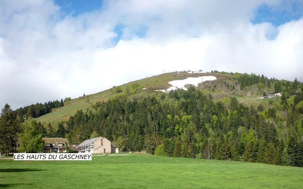 شقة Muhlbach-sur-Munster  في Le Montagnard Au Pied Des Pistes, Station Du Gaschney, Altitude 1000 M المظهر الخارجي الصورة