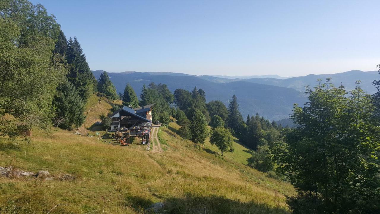 شقة Muhlbach-sur-Munster  في Le Montagnard Au Pied Des Pistes, Station Du Gaschney, Altitude 1000 M المظهر الخارجي الصورة