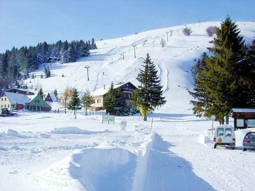 شقة Muhlbach-sur-Munster  في Le Montagnard Au Pied Des Pistes, Station Du Gaschney, Altitude 1000 M المظهر الخارجي الصورة