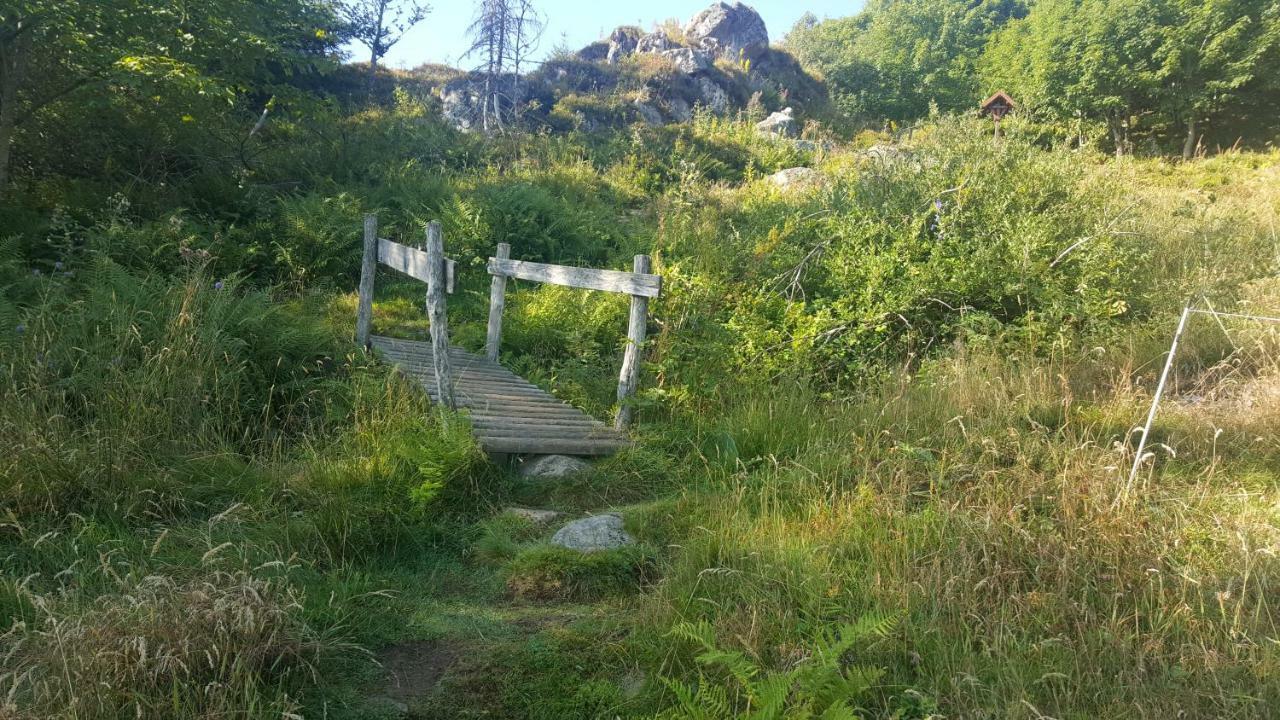 شقة Muhlbach-sur-Munster  في Le Montagnard Au Pied Des Pistes, Station Du Gaschney, Altitude 1000 M المظهر الخارجي الصورة