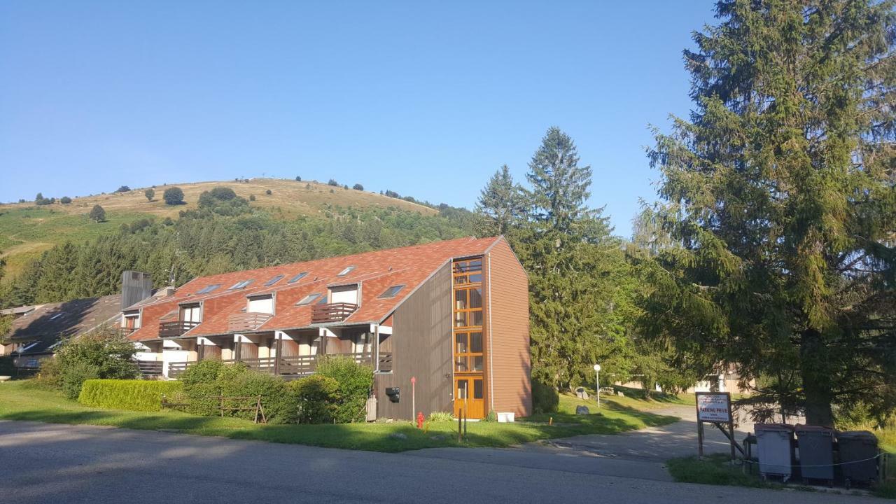 شقة Muhlbach-sur-Munster  في Le Montagnard Au Pied Des Pistes, Station Du Gaschney, Altitude 1000 M المظهر الخارجي الصورة