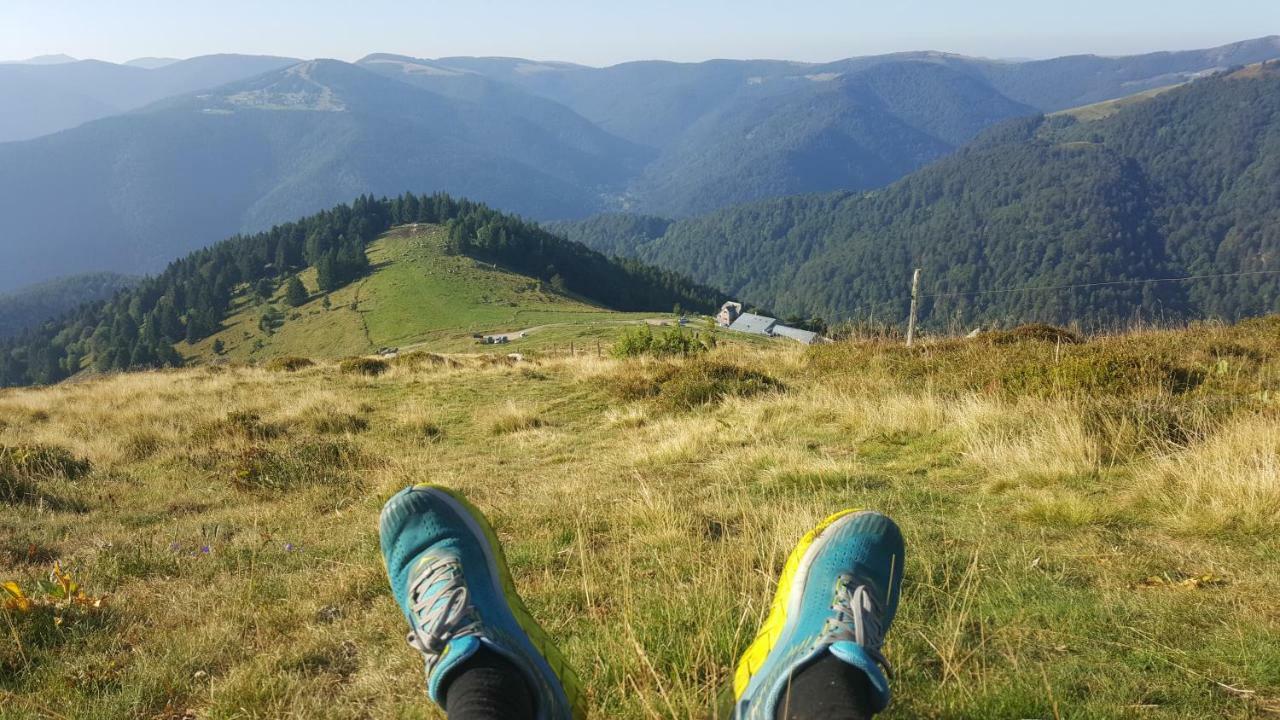 شقة Muhlbach-sur-Munster  في Le Montagnard Au Pied Des Pistes, Station Du Gaschney, Altitude 1000 M المظهر الخارجي الصورة