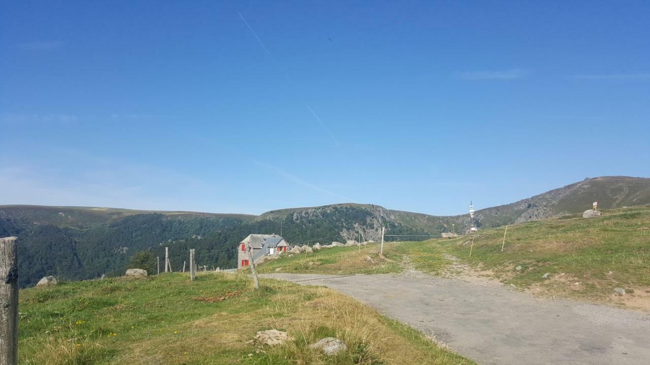 شقة Muhlbach-sur-Munster  في Le Montagnard Au Pied Des Pistes, Station Du Gaschney, Altitude 1000 M المظهر الخارجي الصورة