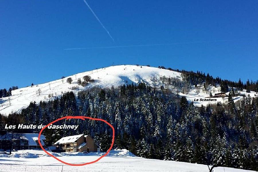 شقة Muhlbach-sur-Munster  في Le Montagnard Au Pied Des Pistes, Station Du Gaschney, Altitude 1000 M المظهر الخارجي الصورة