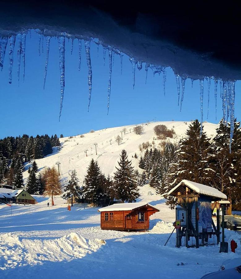 شقة Muhlbach-sur-Munster  في Le Montagnard Au Pied Des Pistes, Station Du Gaschney, Altitude 1000 M المظهر الخارجي الصورة